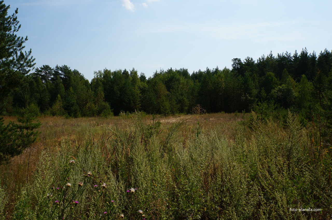 Территория бывших воинских частей