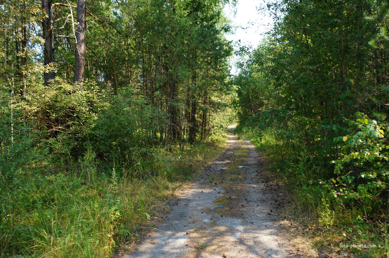 Территория бывших воинских частей