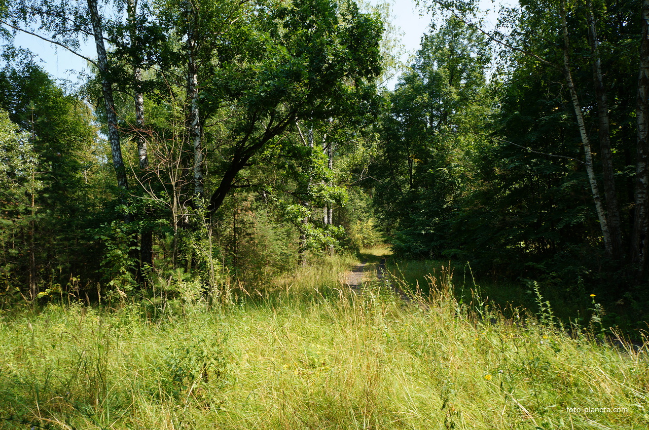 Территория бывших воинских частей