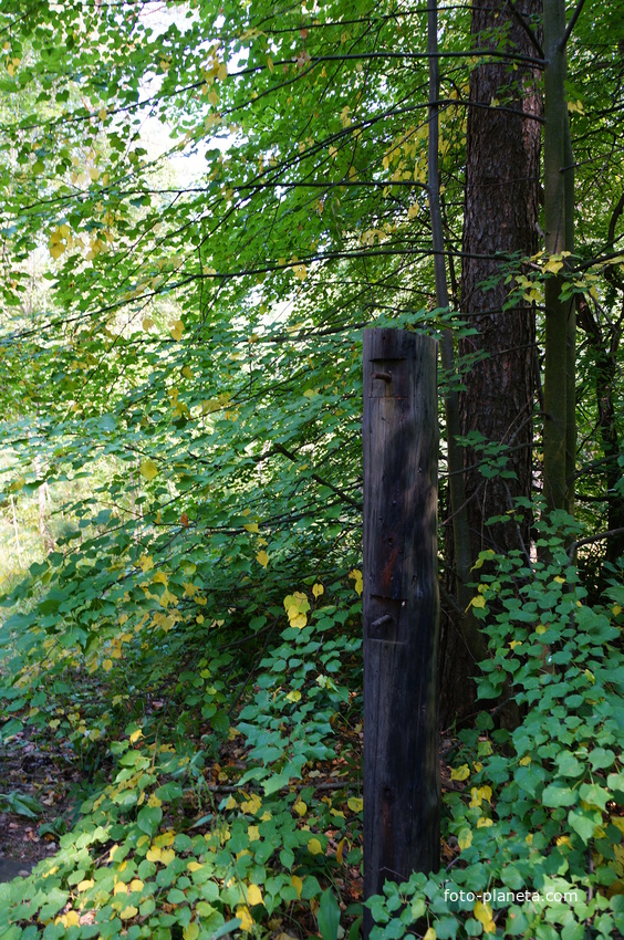 Территория бывших воинских частей