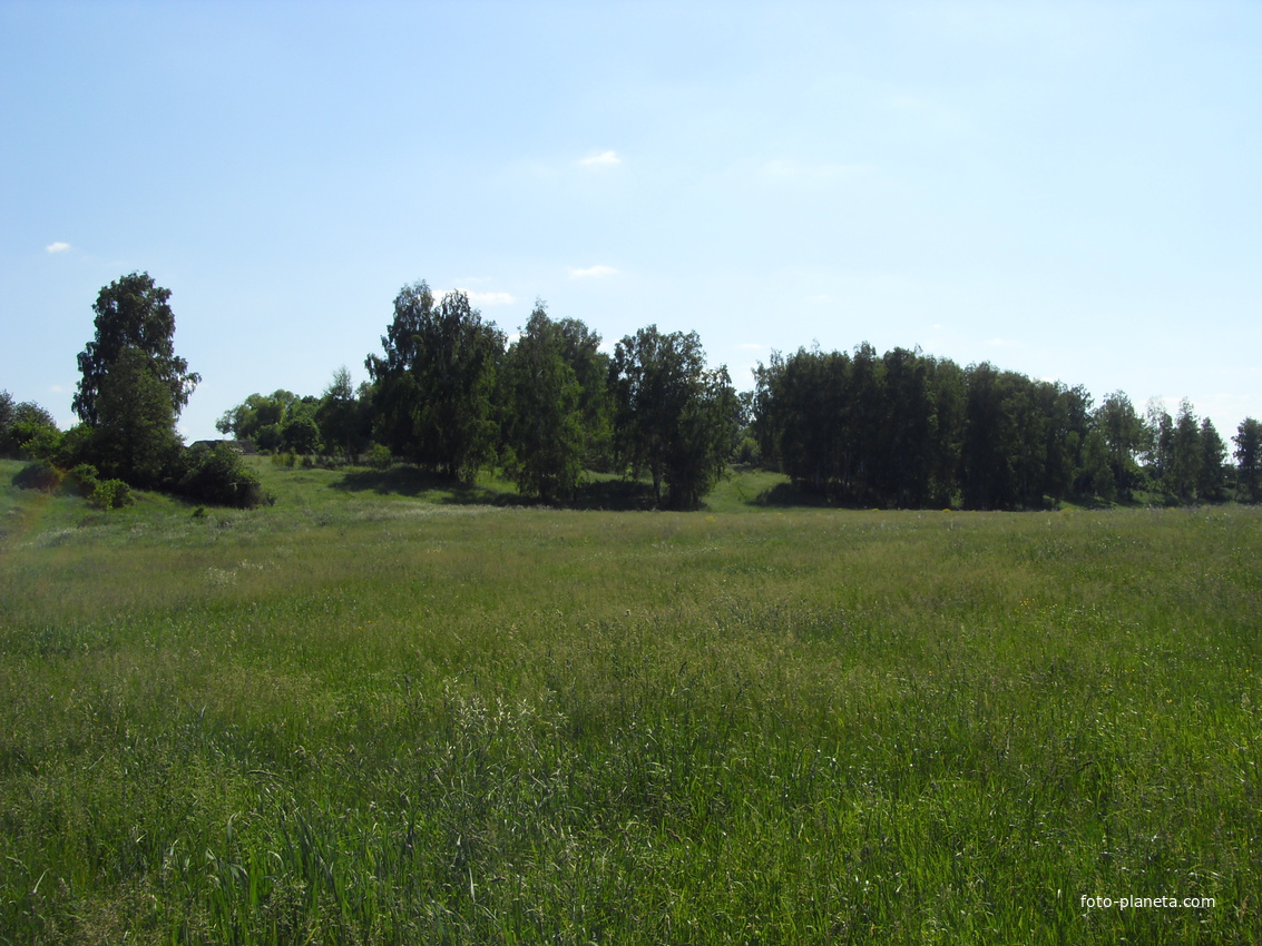 Затишье. июнь 2011