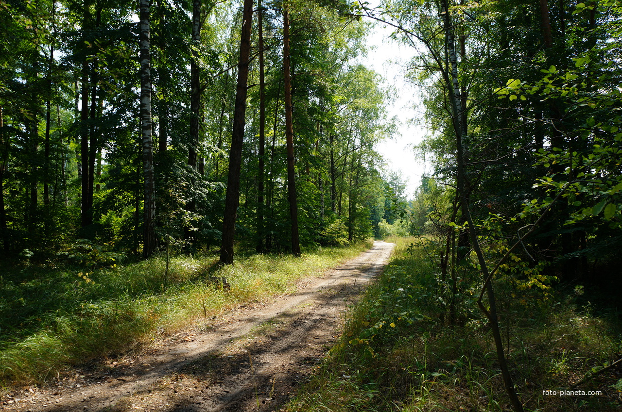 Территория бывших воинских частей