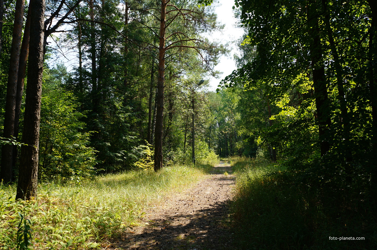 Территория бывших воинских частей