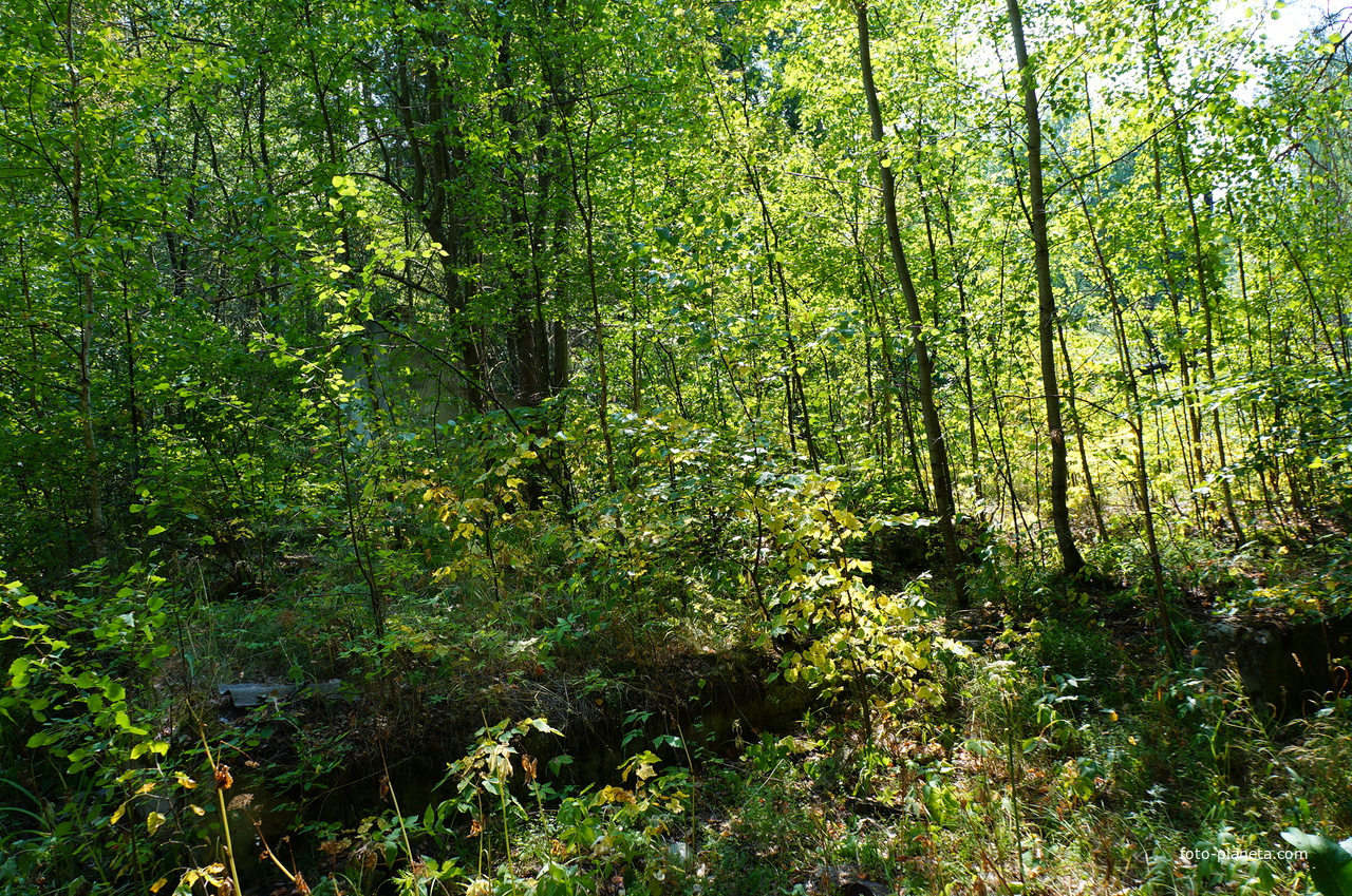 Территория бывших воинских частей