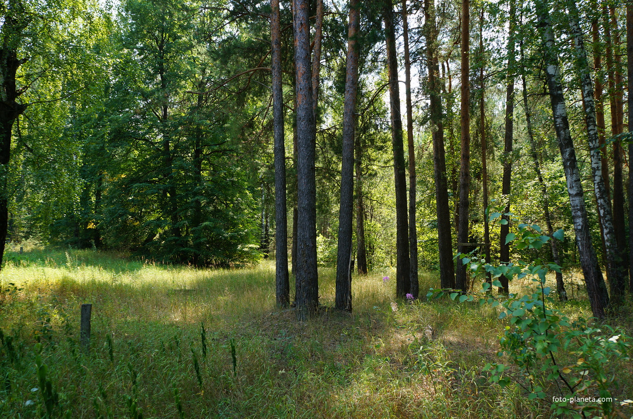 Территория бывших воинских частей