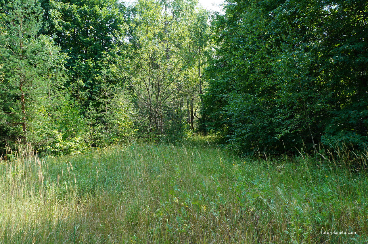 Территория бывших воинских частей