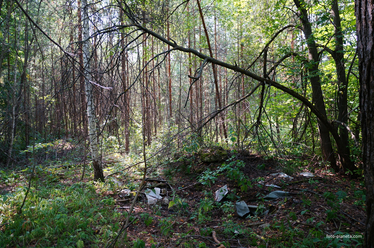 Территория бывших воинских частей