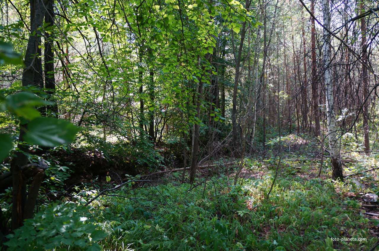 Территория бывших воинских частей