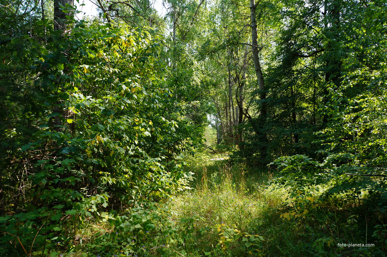 Территория бывших воинских частей