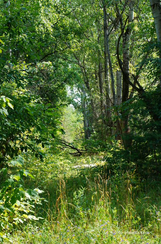 Территория бывших воинских частей