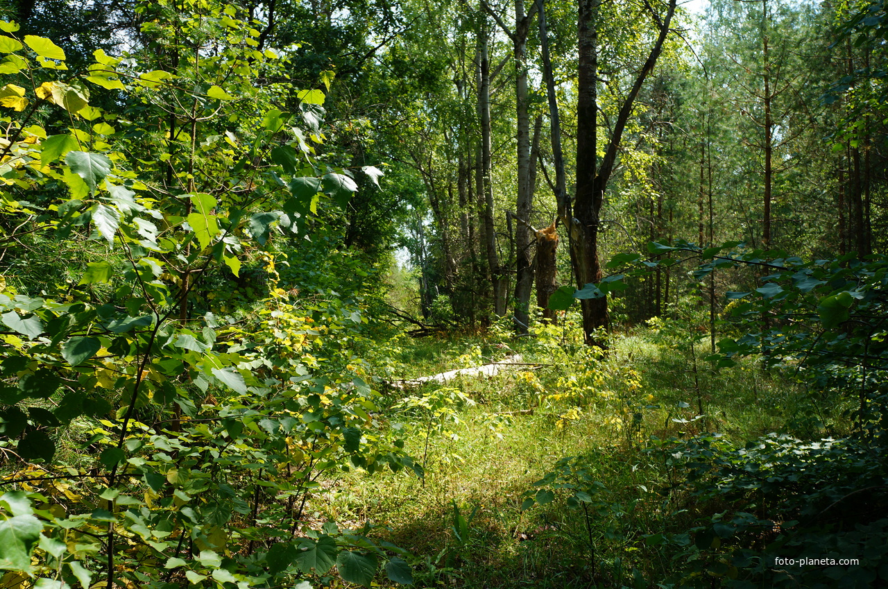 Территория бывших воинских частей