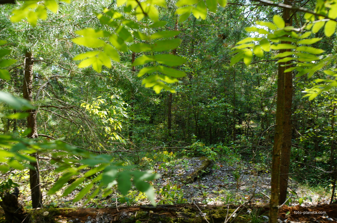 Территория бывших воинских частей
