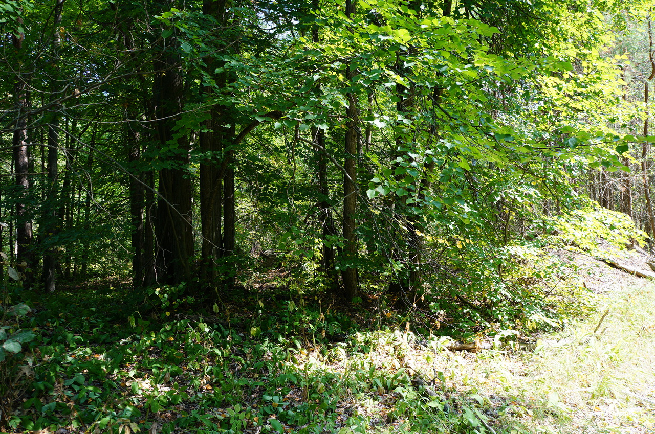 Территория бывших воинских частей