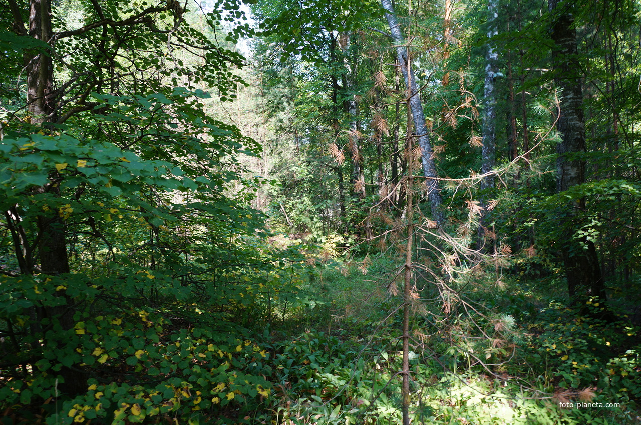 Территория бывших воинских частей