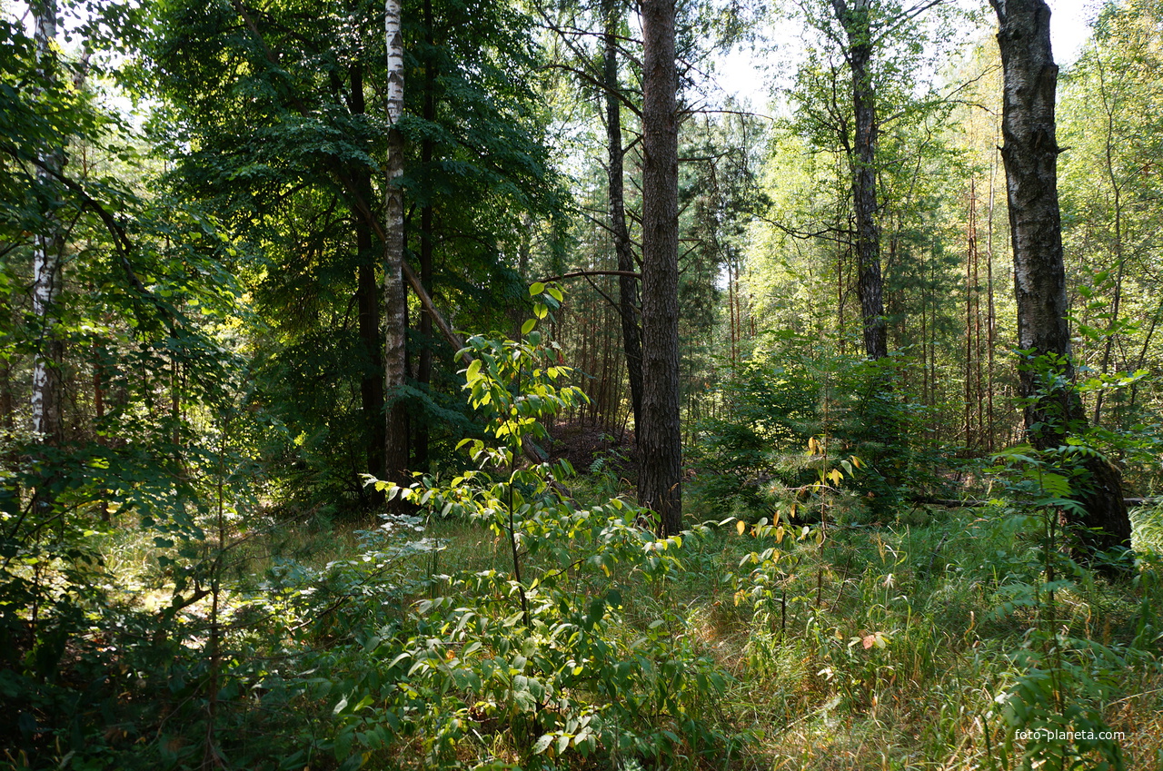 Территория бывших воинских частей