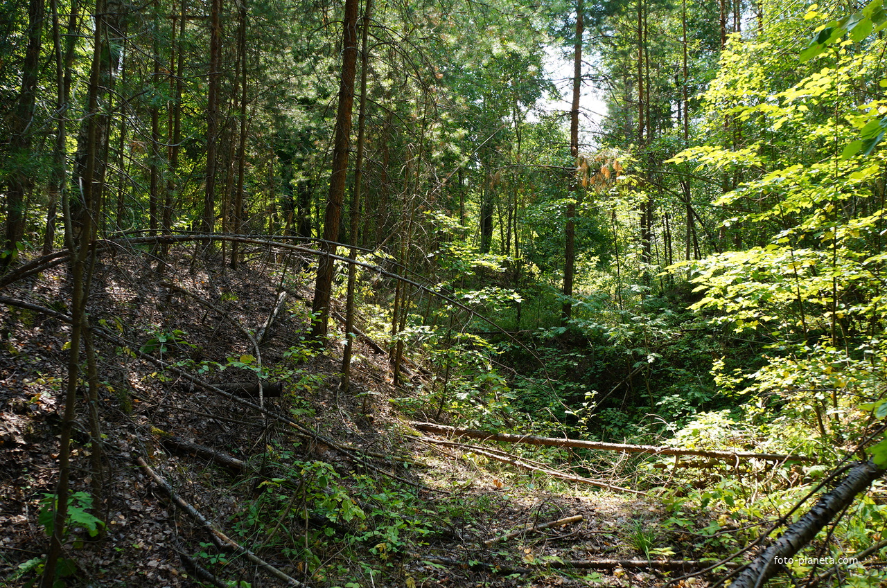 Территория бывших воинских частей