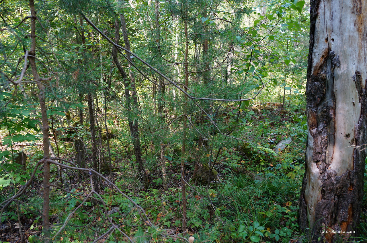 Территория бывших воинских частей
