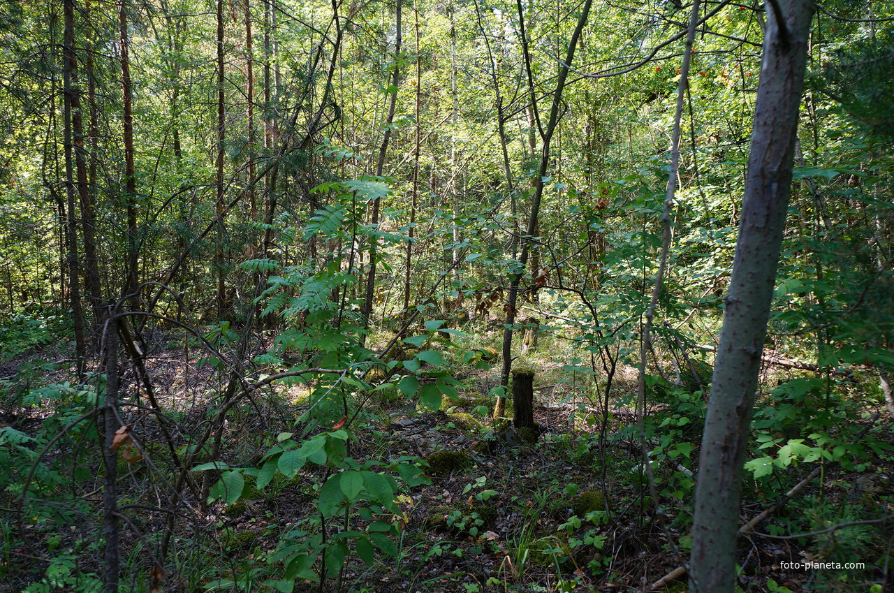 Территория бывших воинских частей