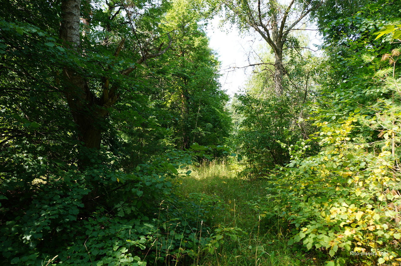 Территория бывших воинских частей