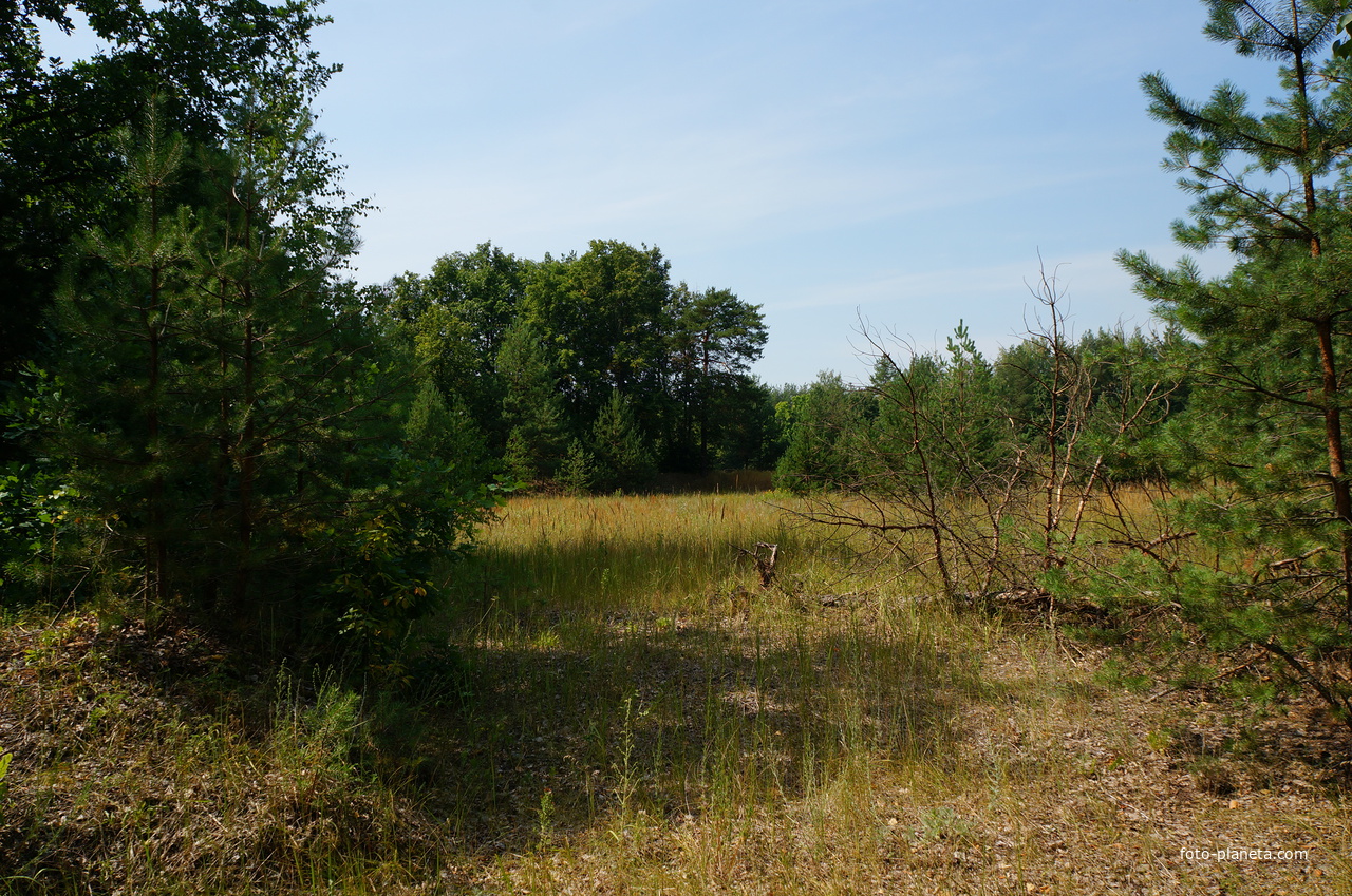 Территория бывших воинских частей