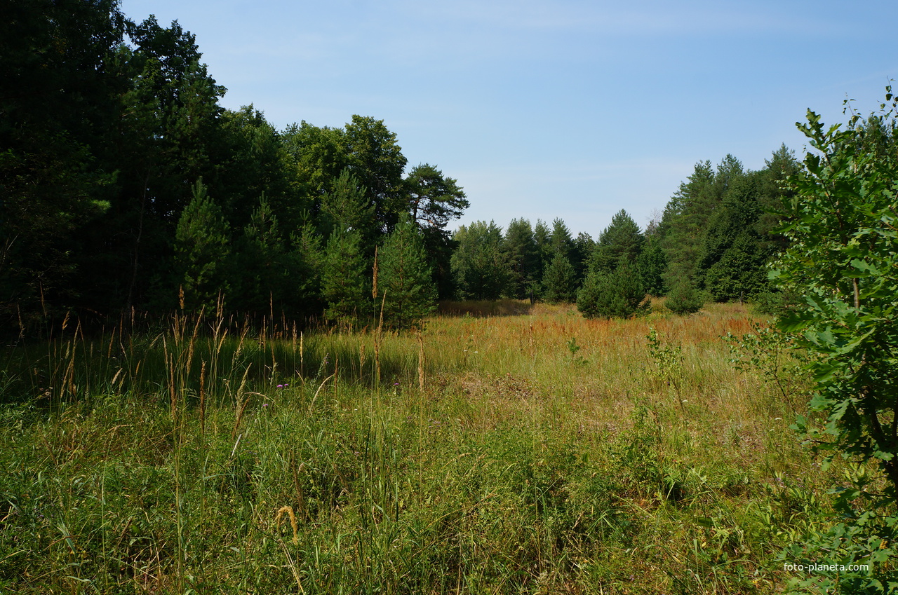 Территория бывших воинских частей