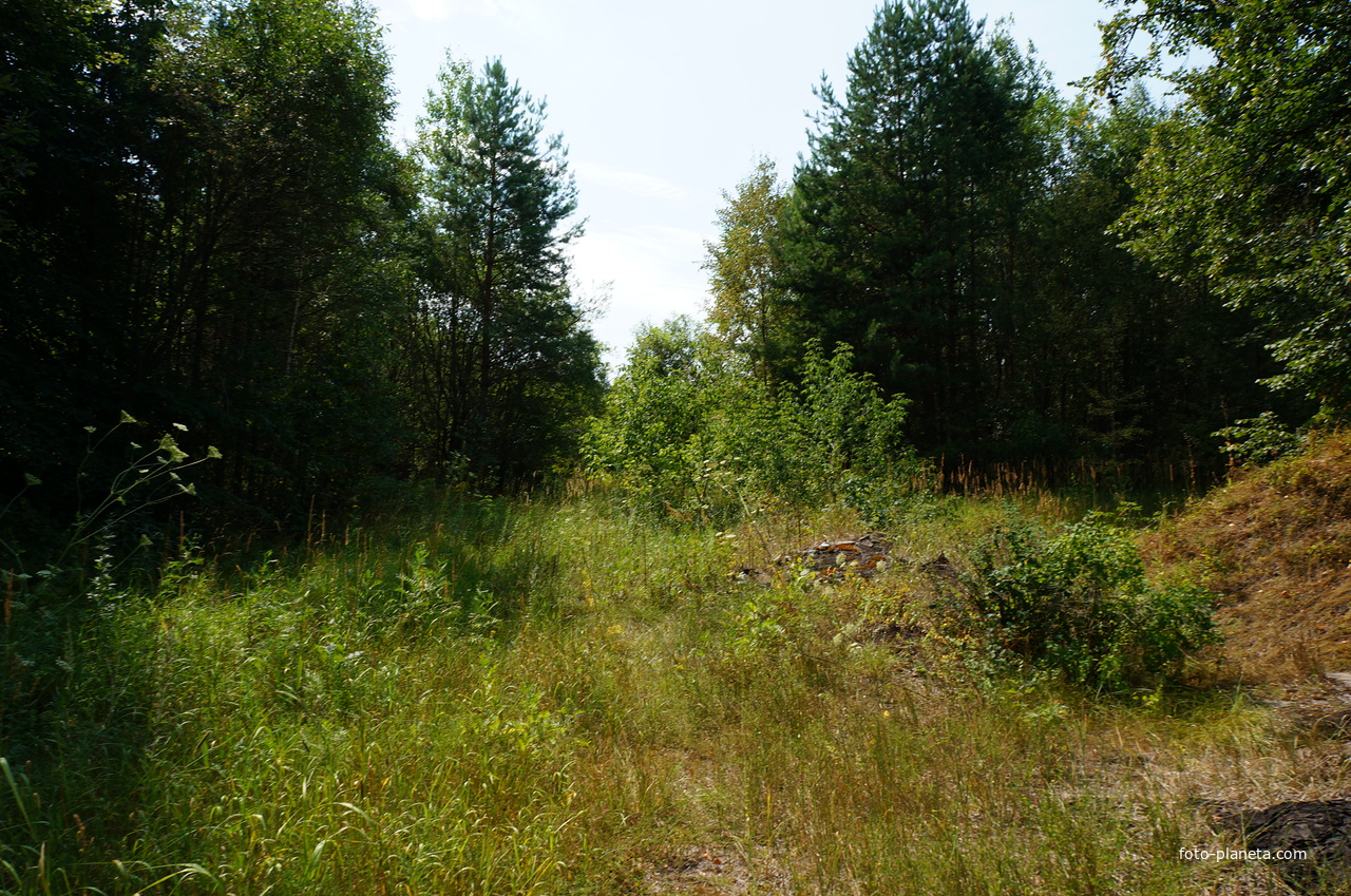 Территория бывших воинских частей