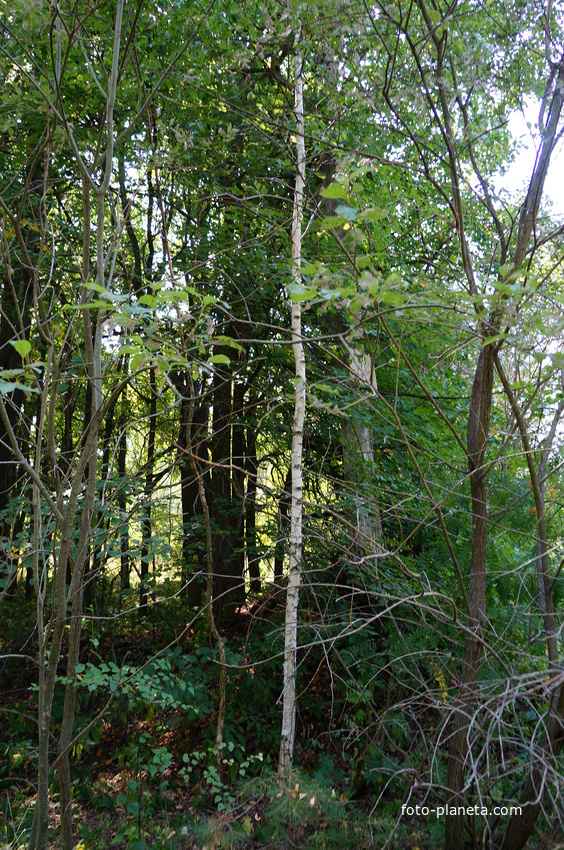 Территория бывших воинских частей