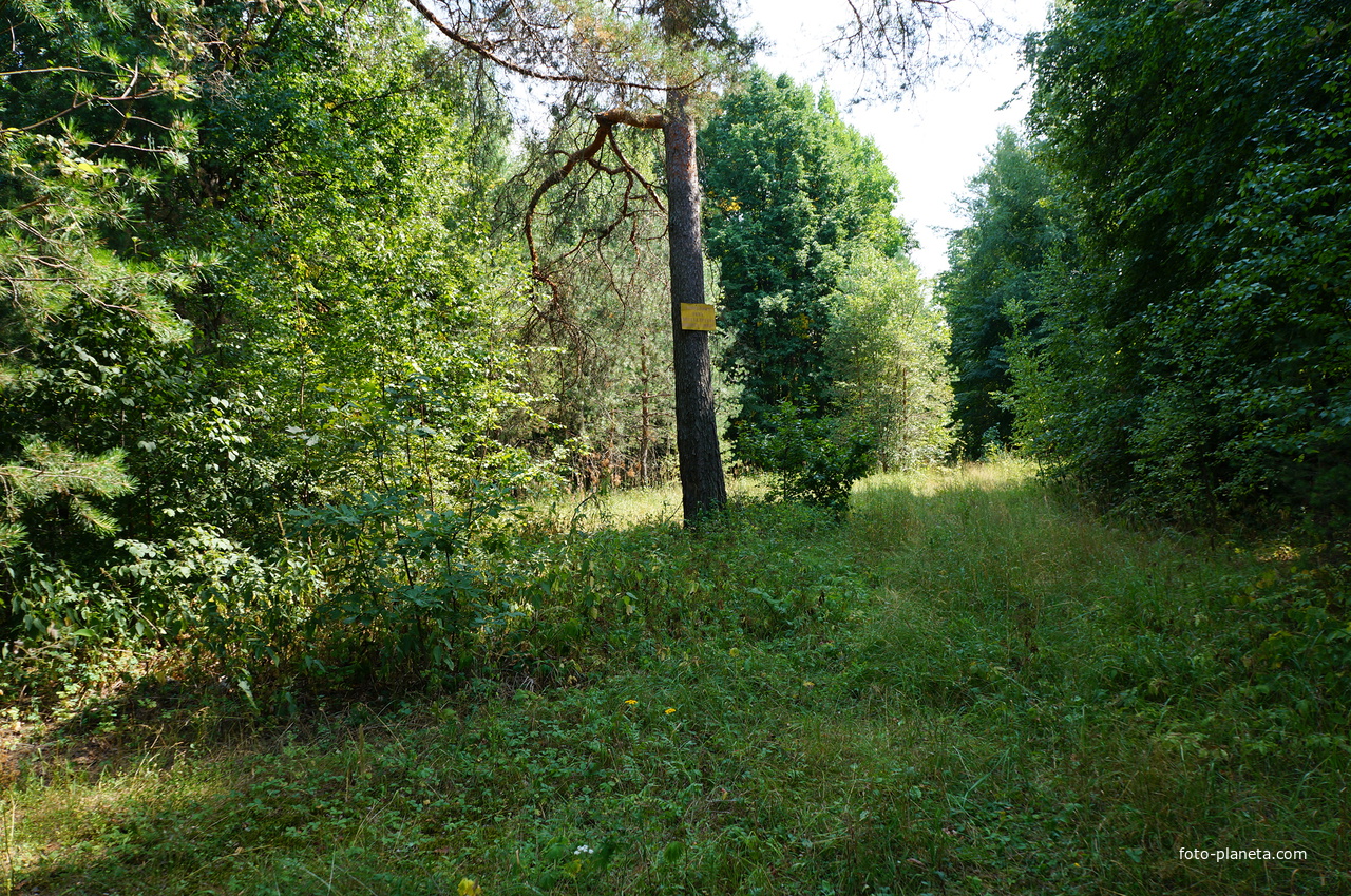 Территория бывших воинских частей