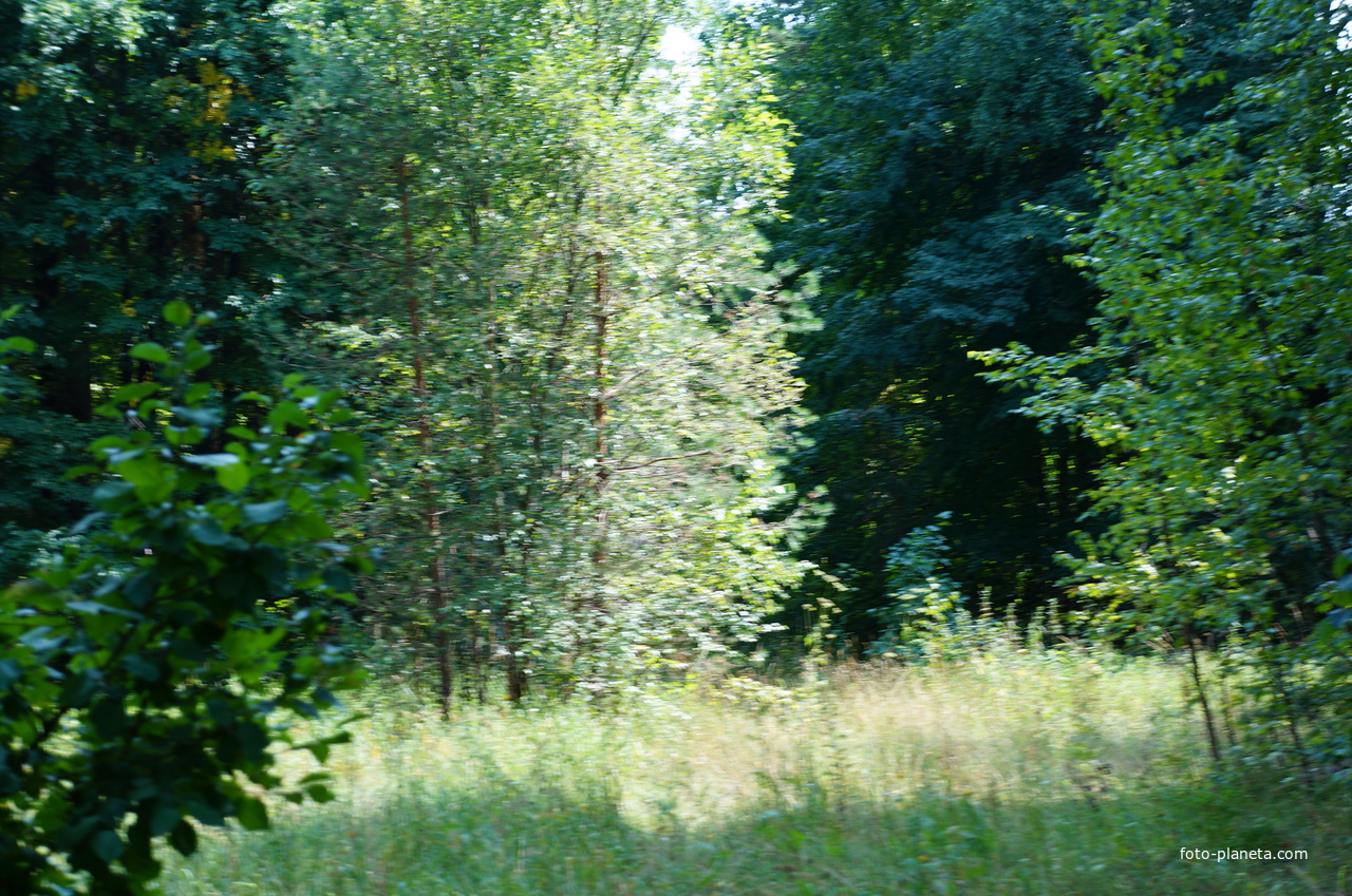 Территория бывших воинских частей