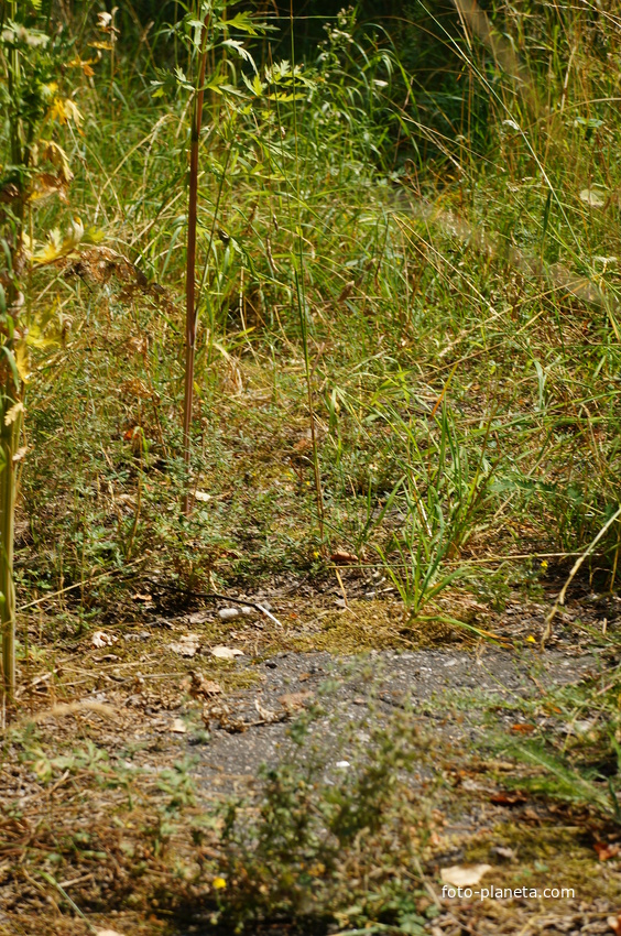 Территория бывших воинских частей