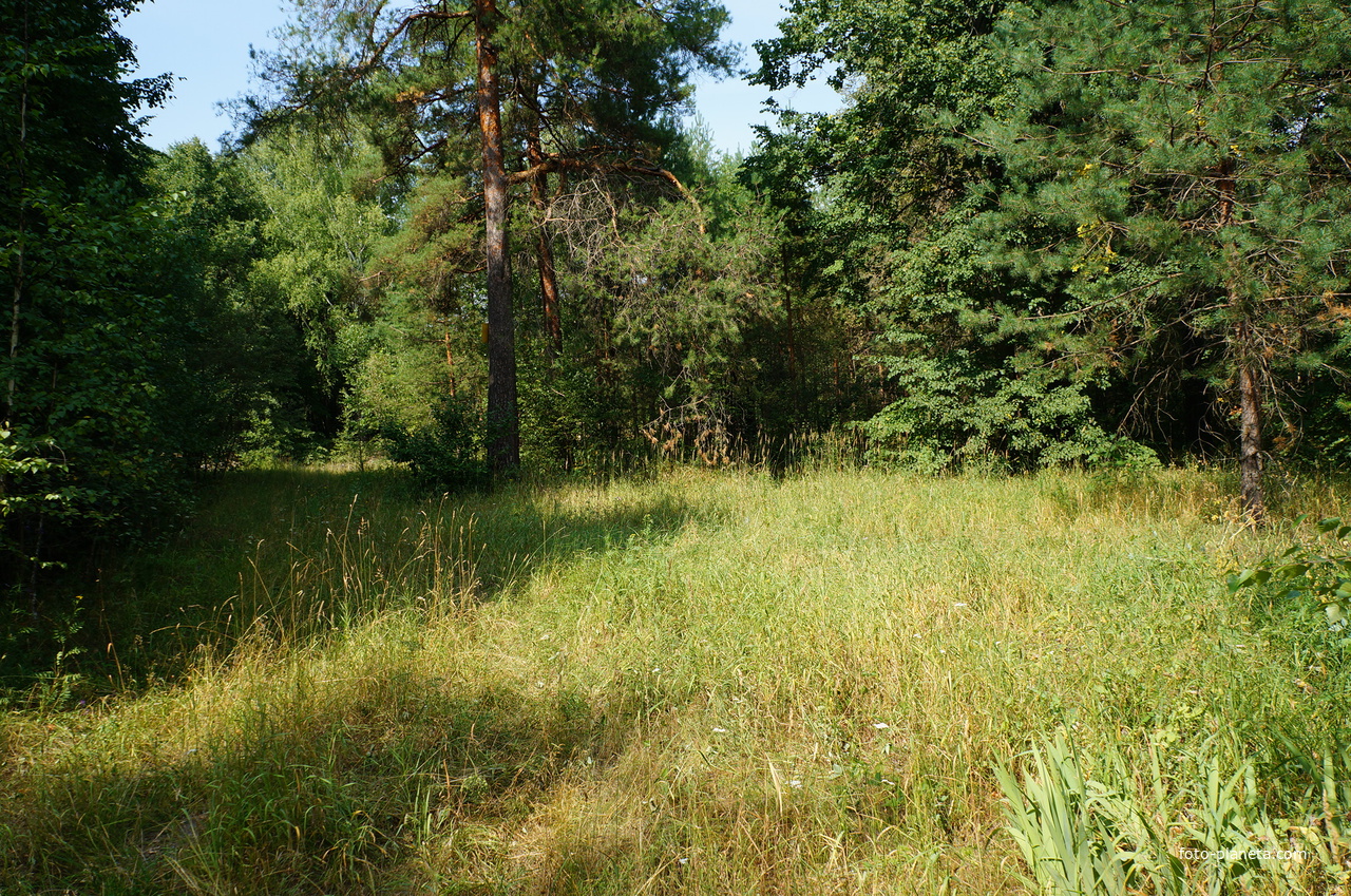 Территория бывших воинских частей