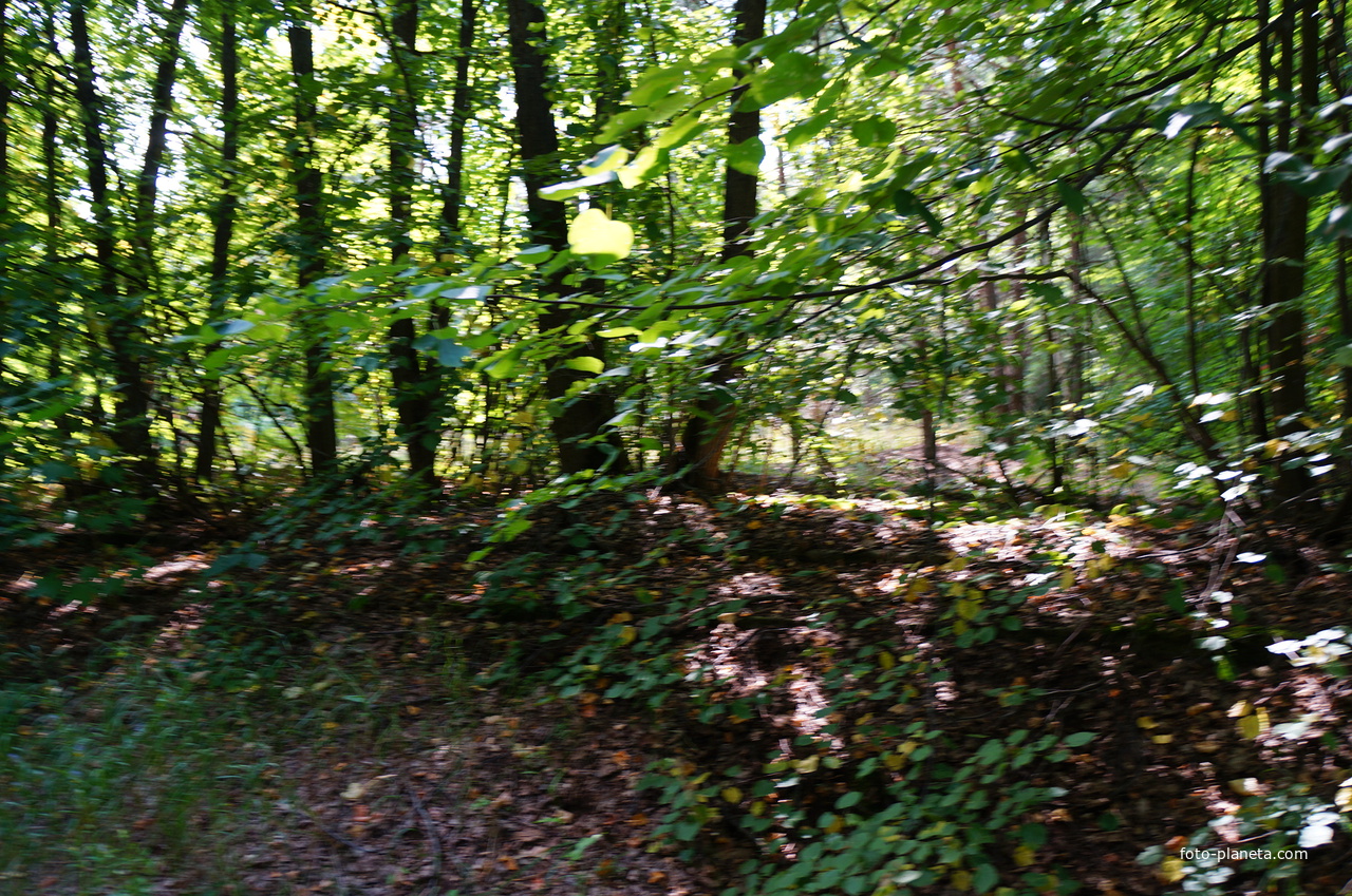 Территория бывших воинских частей