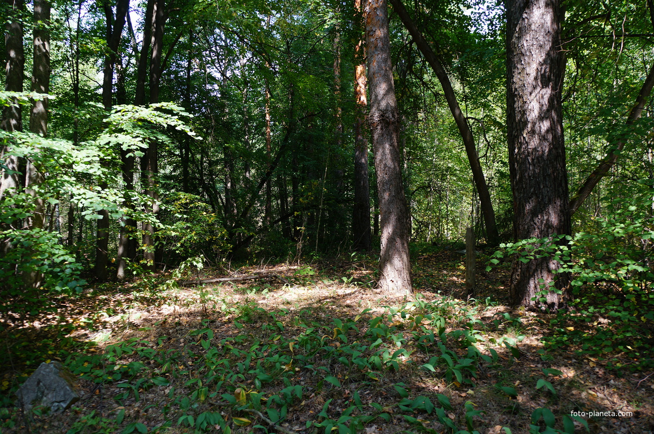 Территория бывших воинских частей