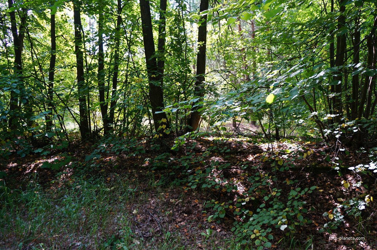 Территория бывших воинских частей