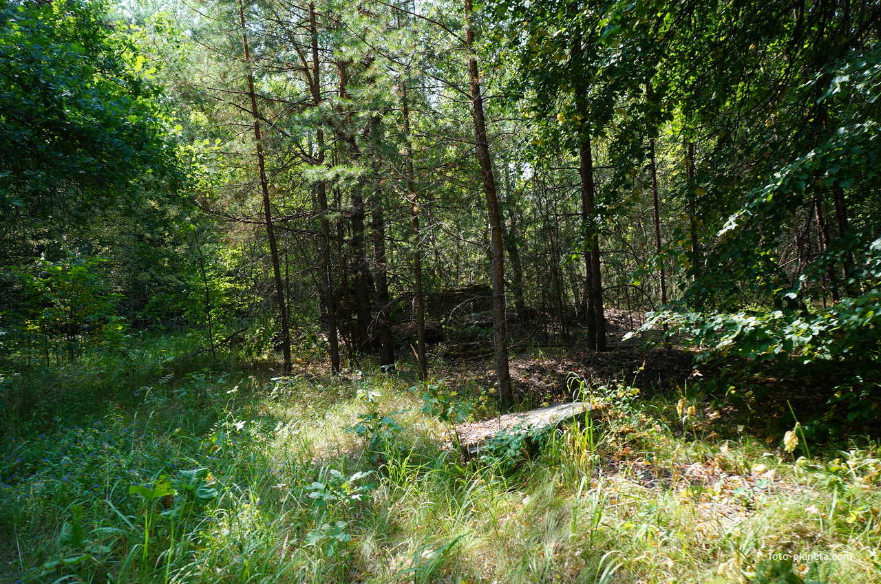 Территория бывших воинских частей