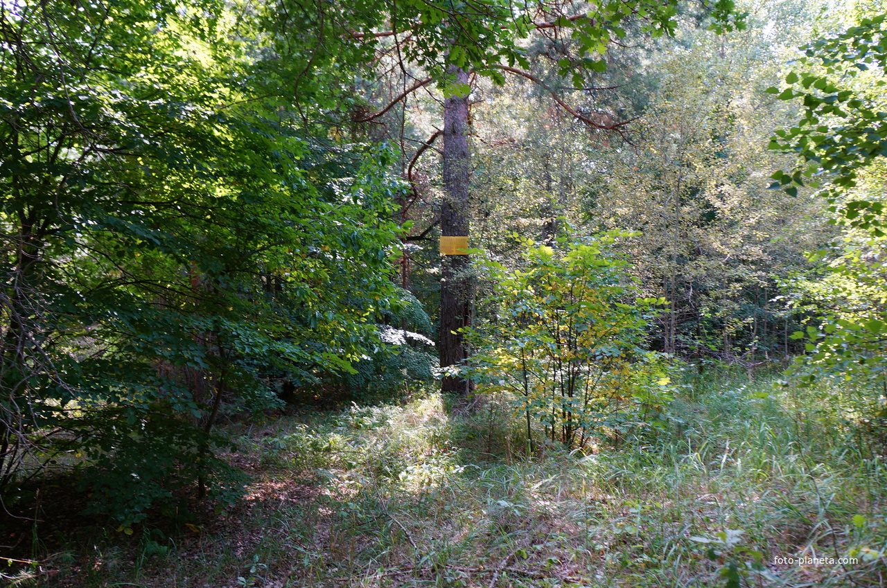 Территория бывших воинских частей