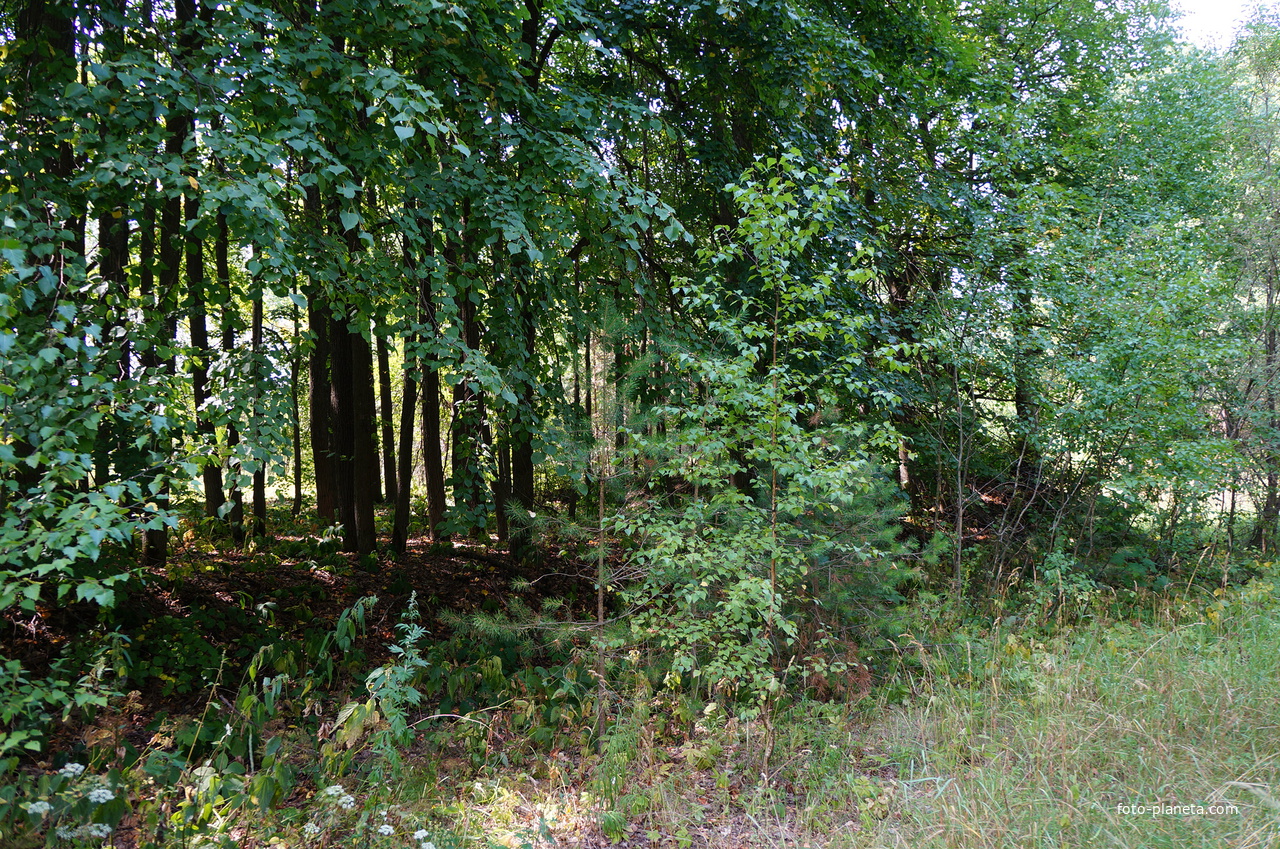 Территория бывших воинских частей