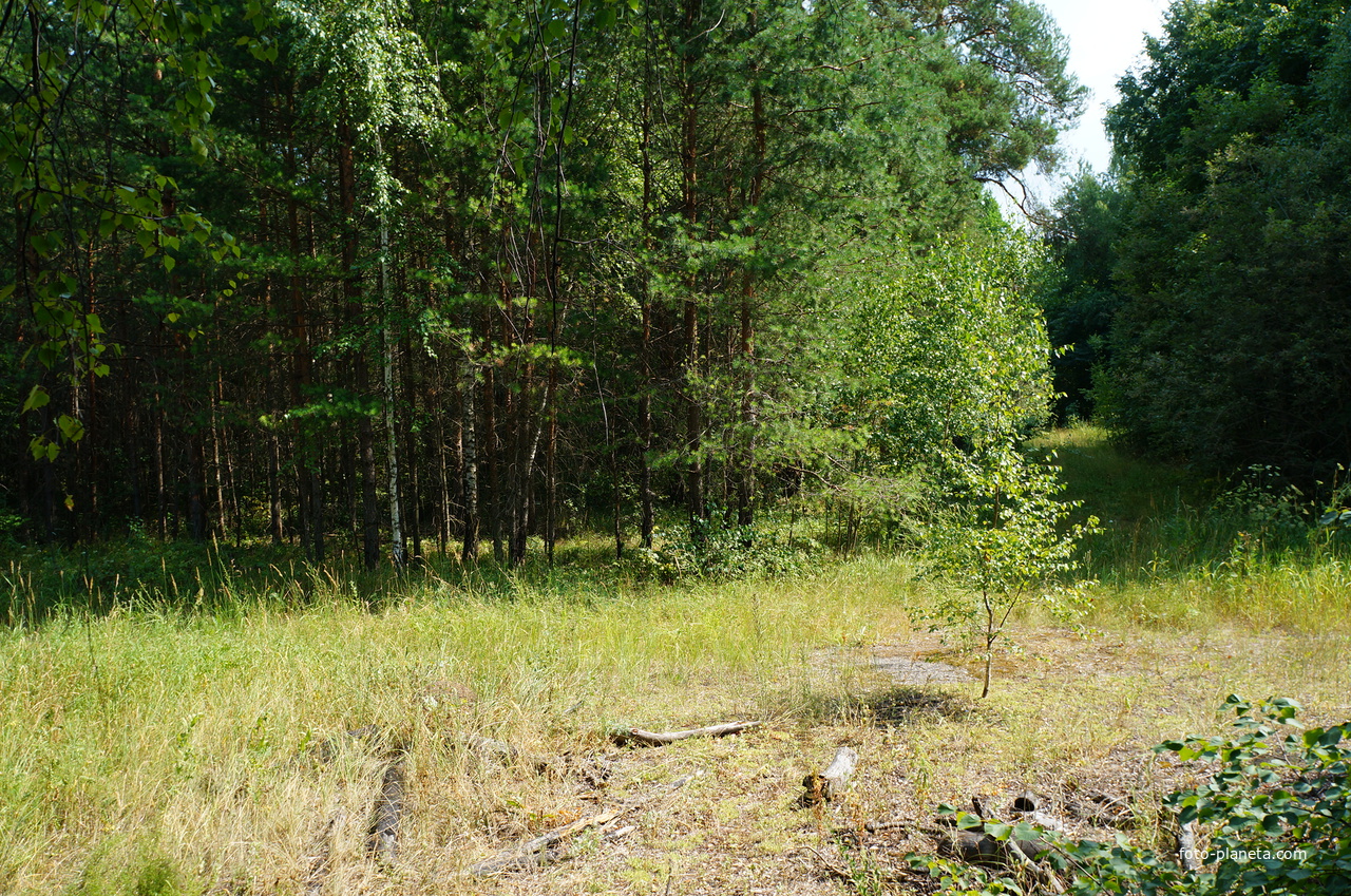 Территория бывших воинских частей