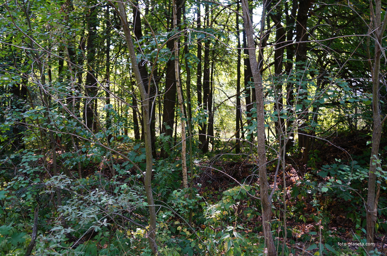 Территория бывших воинских частей