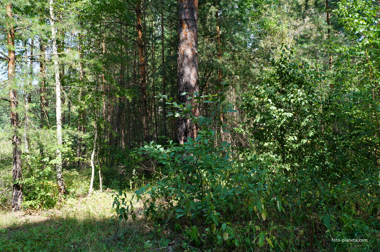 Территория бывших воинских частей