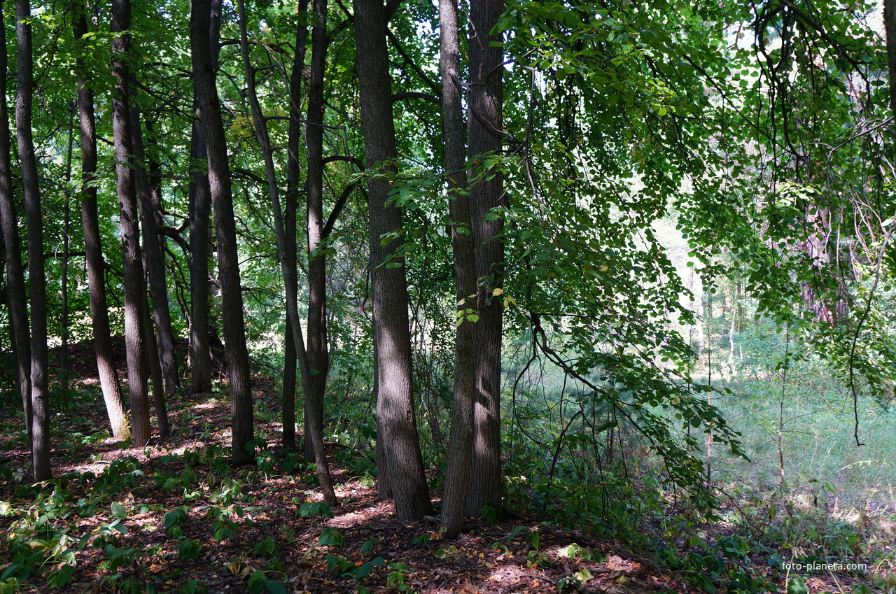 Территория бывших воинских частей