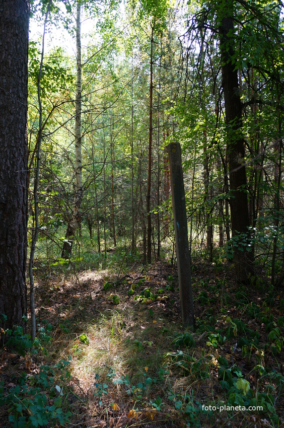 Территория бывших воинских частей