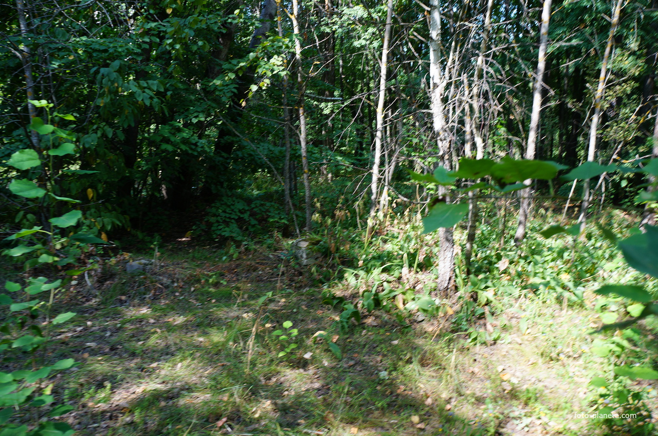 Территория бывших воинских частей