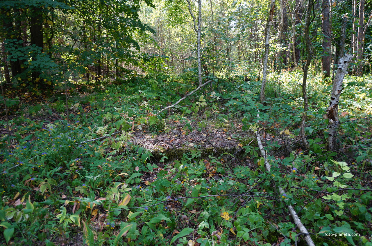 Территория бывших воинских частей