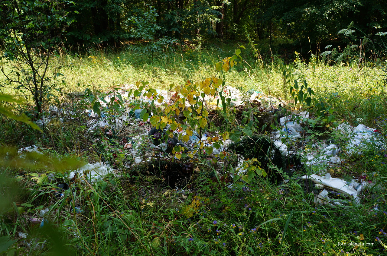 Территория бывших воинских частей