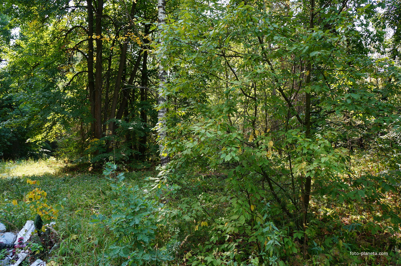 Территория бывших воинских частей