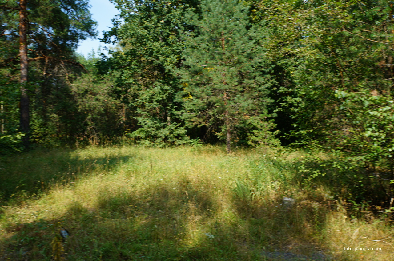 Территория бывших воинских частей