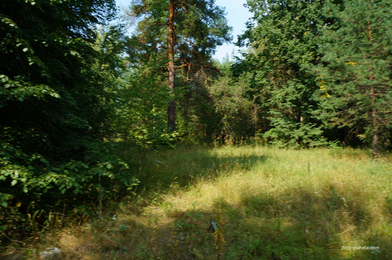 Территория бывших воинских частей