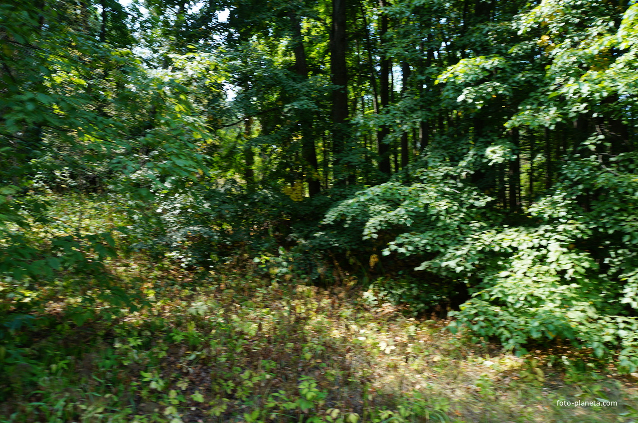 Территория бывших воинских частей