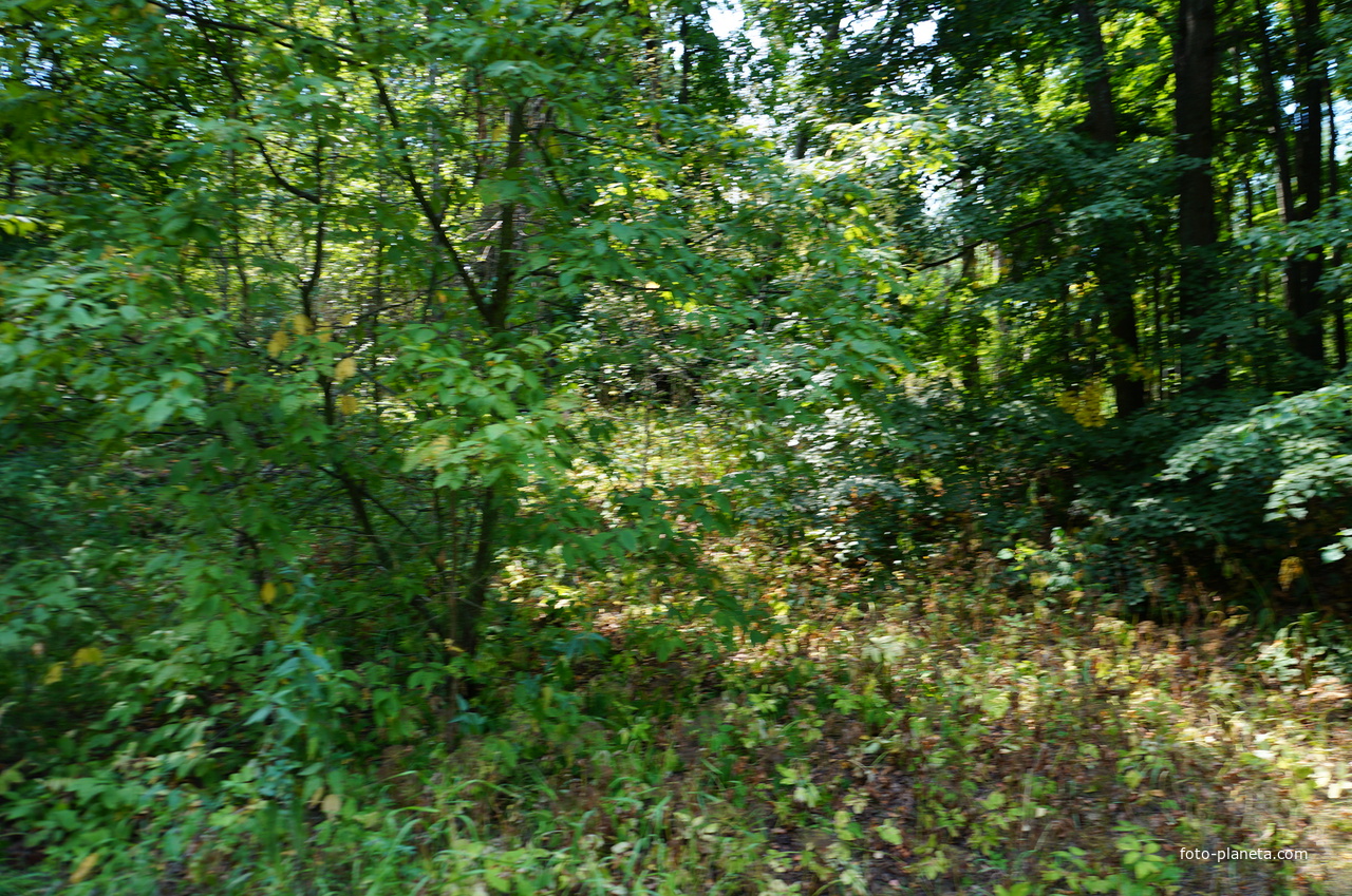 Территория бывших воинских частей